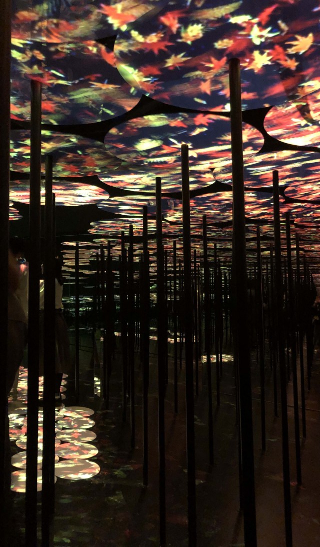 TeamLab3
